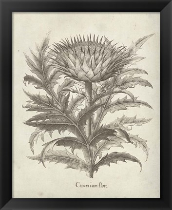 Framed Fresco Artichoke I Print