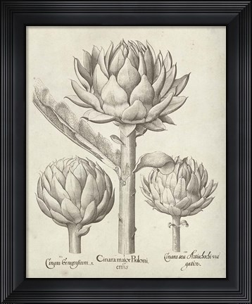 Framed Fresco Artichoke II Print