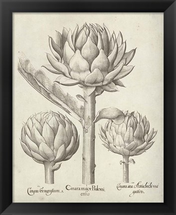 Framed Fresco Artichoke II Print