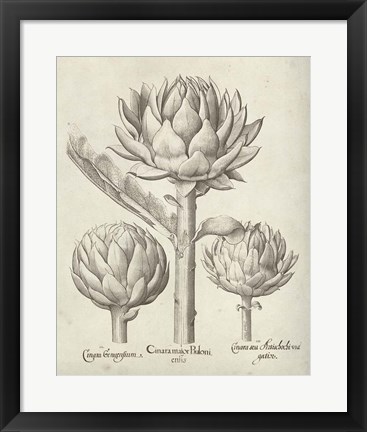 Framed Fresco Artichoke II Print