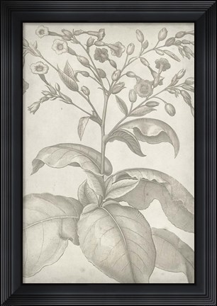 Framed Classic Romance I Print