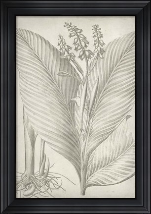 Framed Classic Romance II Print