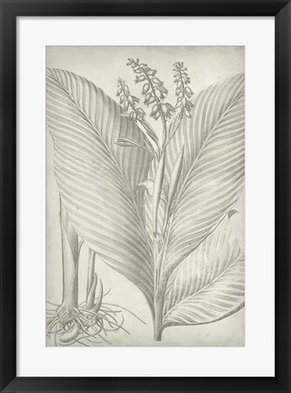 Framed Classic Romance II Print