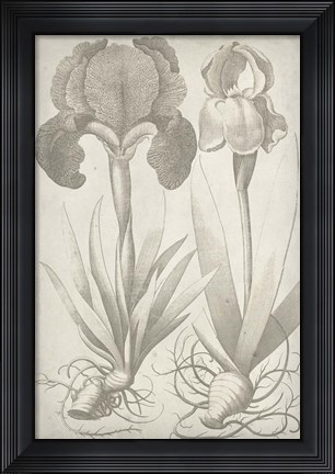 Framed Classic Romance IV Print