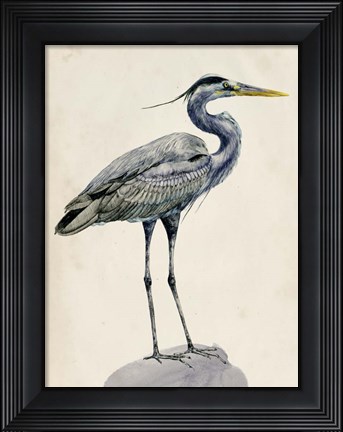 Framed Blue Heron Rendering I Print