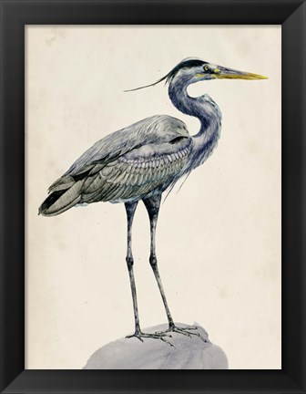 Framed Blue Heron Rendering I Print