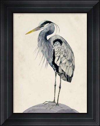 Framed Blue Heron Rendering II Print