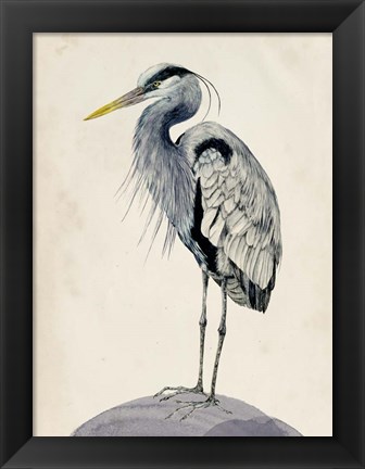 Framed Blue Heron Rendering II Print