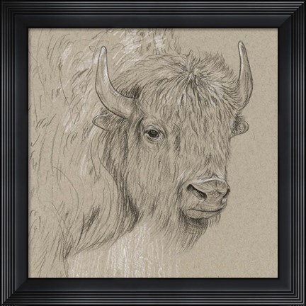 Framed Bison Sketch I Print