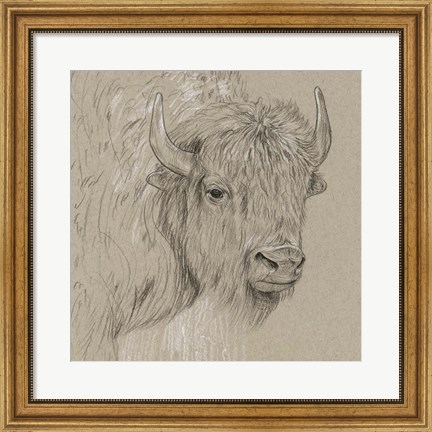 Framed Bison Sketch I Print