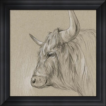 Framed Bison Sketch II Print