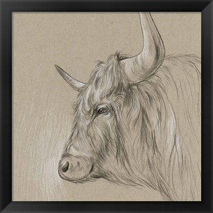 Framed Bison Sketch II Print