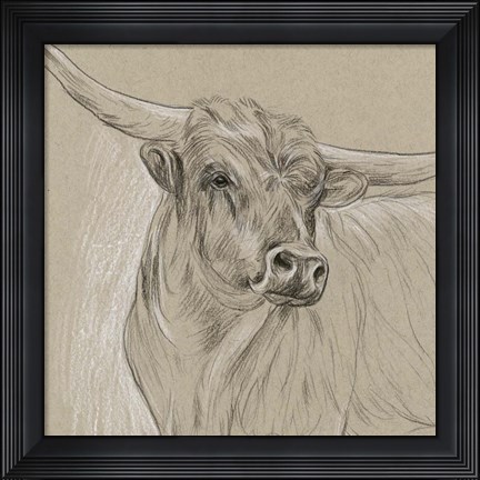 Framed Longhorn Sketch I Print