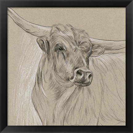 Framed Longhorn Sketch I Print