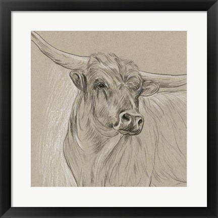 Framed Longhorn Sketch I Print