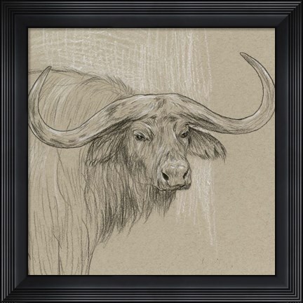 Framed Longhorn Sketch II Print