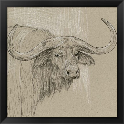 Framed Longhorn Sketch II Print