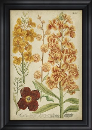 Framed Tropical Floral I Print