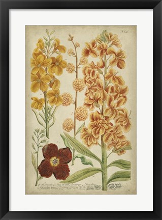 Framed Tropical Floral I Print
