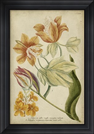 Framed Tropical Floral II Print