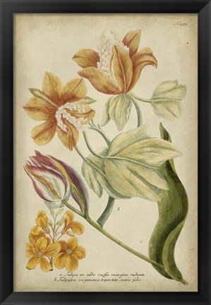 Framed Tropical Floral II Print