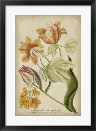 Framed Tropical Floral II Print