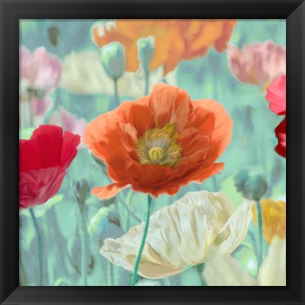 Framed Poppies in Bloom I Print