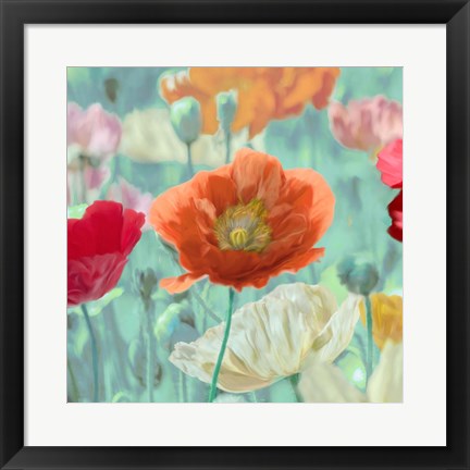 Framed Poppies in Bloom I Print