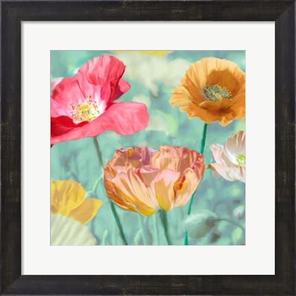 Framed Poppies in Bloom II Print