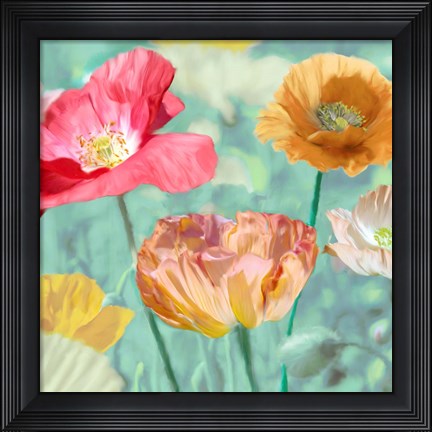 Framed Poppies in Bloom II Print