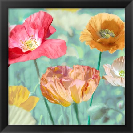 Framed Poppies in Bloom II Print