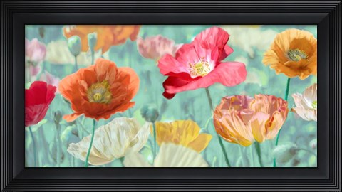 Framed Poppies in Bloom Print