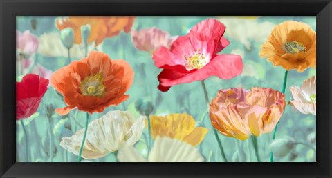 Framed Poppies in Bloom Print