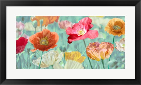 Framed Poppies in Bloom Print