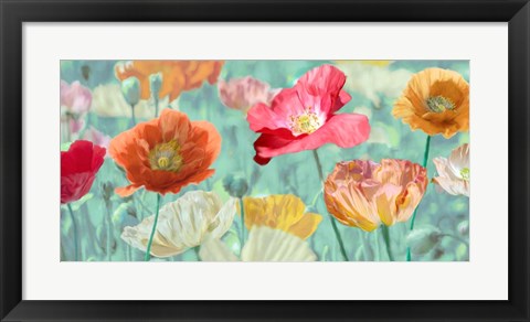 Framed Poppies in Bloom Print