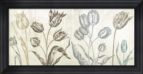 Framed Botaniques Cochin #1 (suede) Print