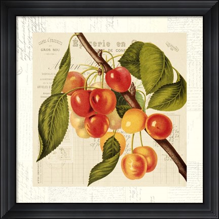 Framed Cerises Print