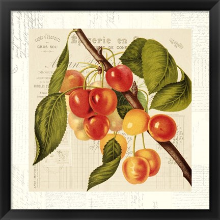 Framed Cerises Print