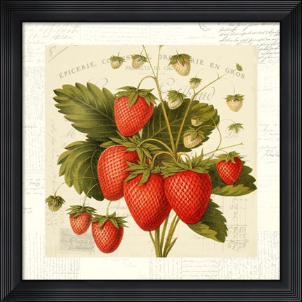 Framed Fraises Print