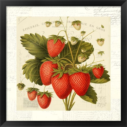 Framed Fraises Print