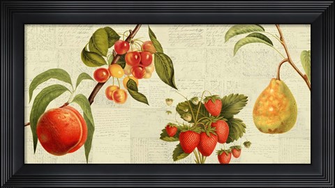 Framed Fruits de Saison Print