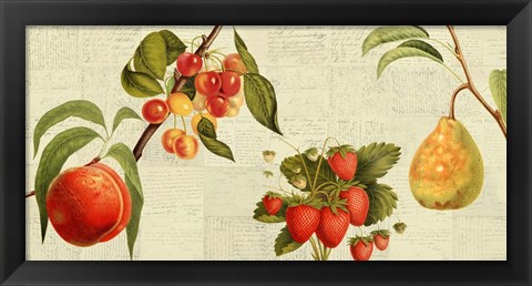 Framed Fruits de Saison Print