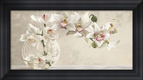 Framed Orchid Arrangement I Print