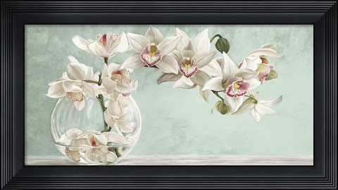 Framed Orchid Arrangement II (Celadon) Print