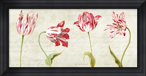 Framed Botaniques Moderne Print