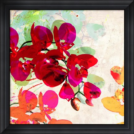 Framed Orchidreams (detail) Print