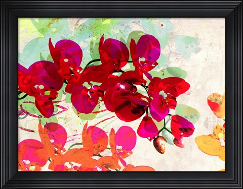 Framed Orchidreams Print