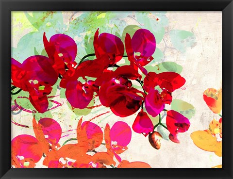 Framed Orchidreams Print