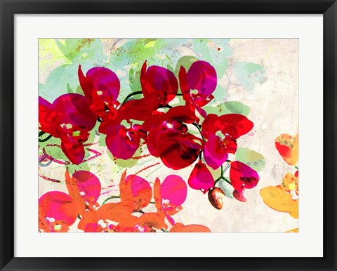 Framed Orchidreams Print