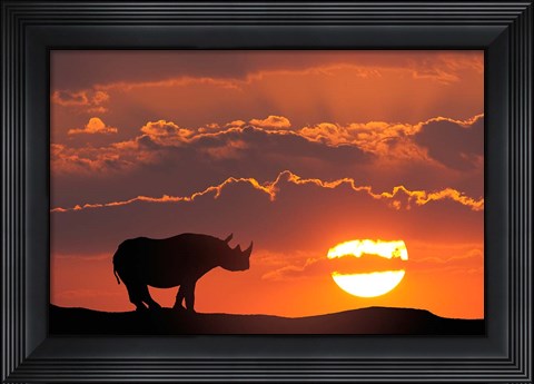 Framed Kenya, Masai Mara Composite Of White Rhino Silhouette And Sunset Print